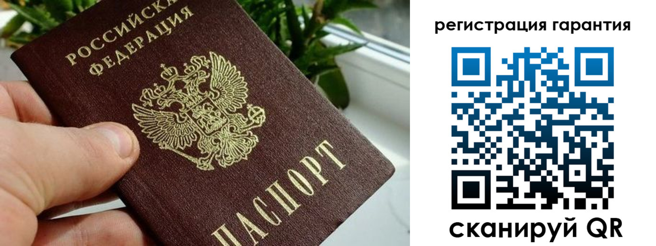 временная регистрация надежно в Орле